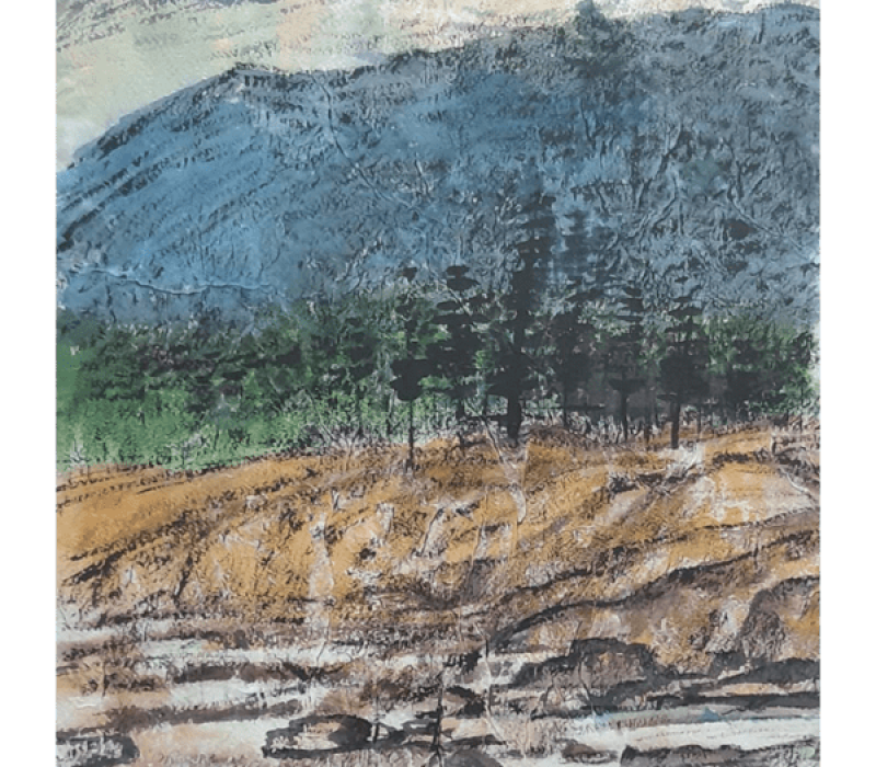 PT2408220842_600x800_300ppi